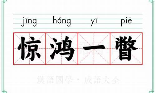 惊鸿一瞥的意思和寓意-惊鸿一瞥的意思